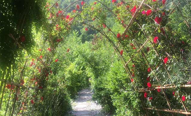 西安市·鄠邑区·太平峪九龙湾团建基地